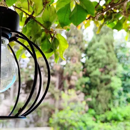 Апартаменты Oasis *